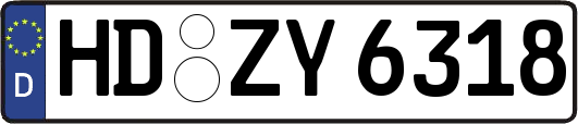 HD-ZY6318