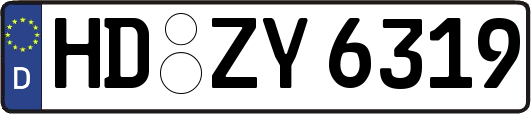 HD-ZY6319