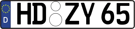 HD-ZY65