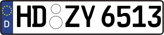 HD-ZY6513