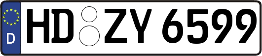 HD-ZY6599