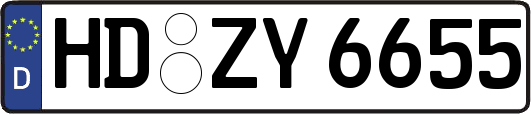 HD-ZY6655