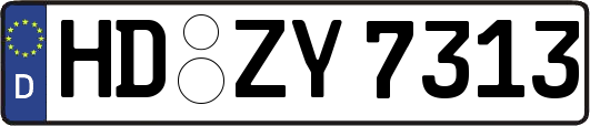 HD-ZY7313