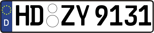 HD-ZY9131