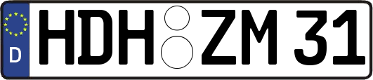 HDH-ZM31