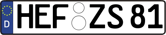 HEF-ZS81