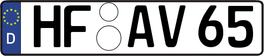 HF-AV65