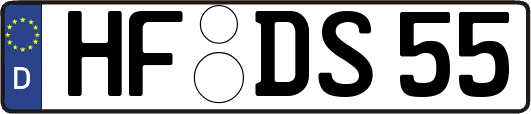 HF-DS55