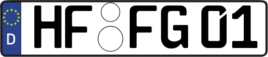 HF-FG01
