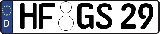 HF-GS29