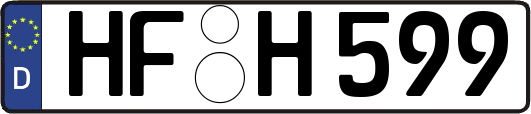 HF-H599