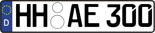 HH-AE300