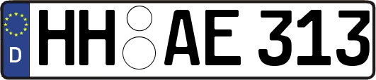 HH-AE313