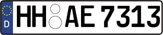 HH-AE7313