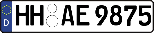 HH-AE9875