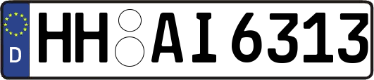 HH-AI6313