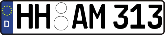 HH-AM313