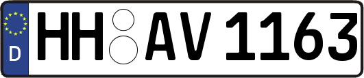 HH-AV1163