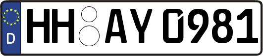 HH-AY0981