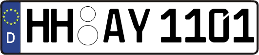 HH-AY1101