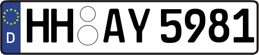 HH-AY5981