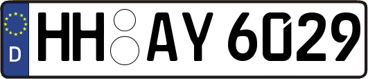 HH-AY6029