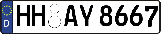 HH-AY8667