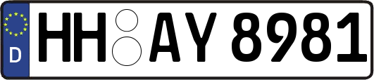 HH-AY8981