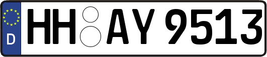 HH-AY9513