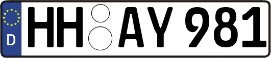HH-AY981