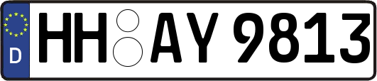HH-AY9813