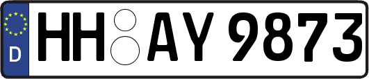 HH-AY9873