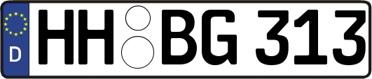 HH-BG313