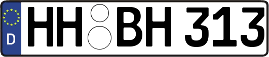 HH-BH313