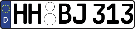 HH-BJ313
