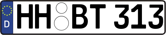 HH-BT313