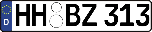HH-BZ313