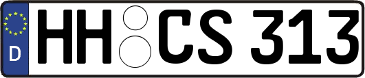 HH-CS313
