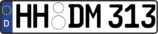 HH-DM313