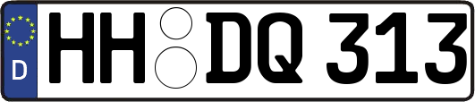 HH-DQ313