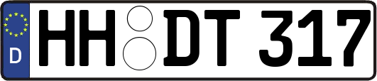 HH-DT317