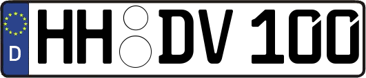 HH-DV100