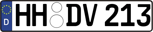 HH-DV213