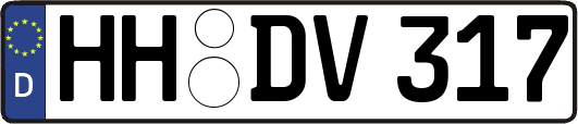 HH-DV317