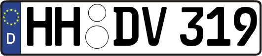 HH-DV319