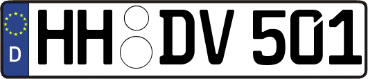 HH-DV501