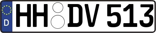 HH-DV513