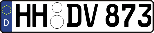 HH-DV873
