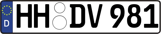HH-DV981