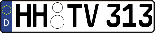 HH-TV313